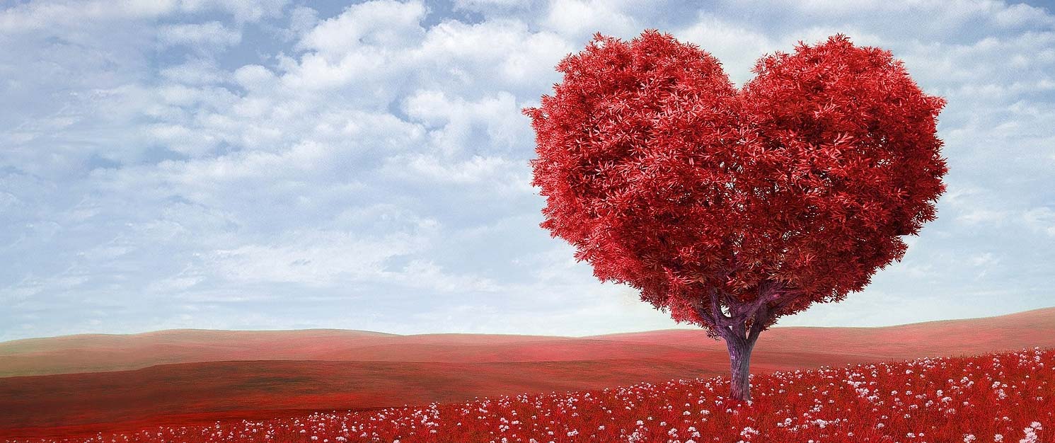 Training-Programs-Heart