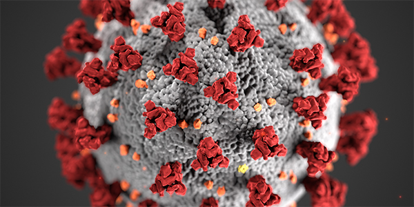 Coronavirus-image